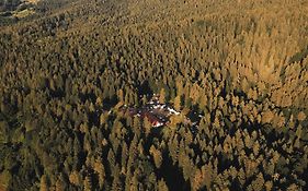 Forest Camp Val di Gresta